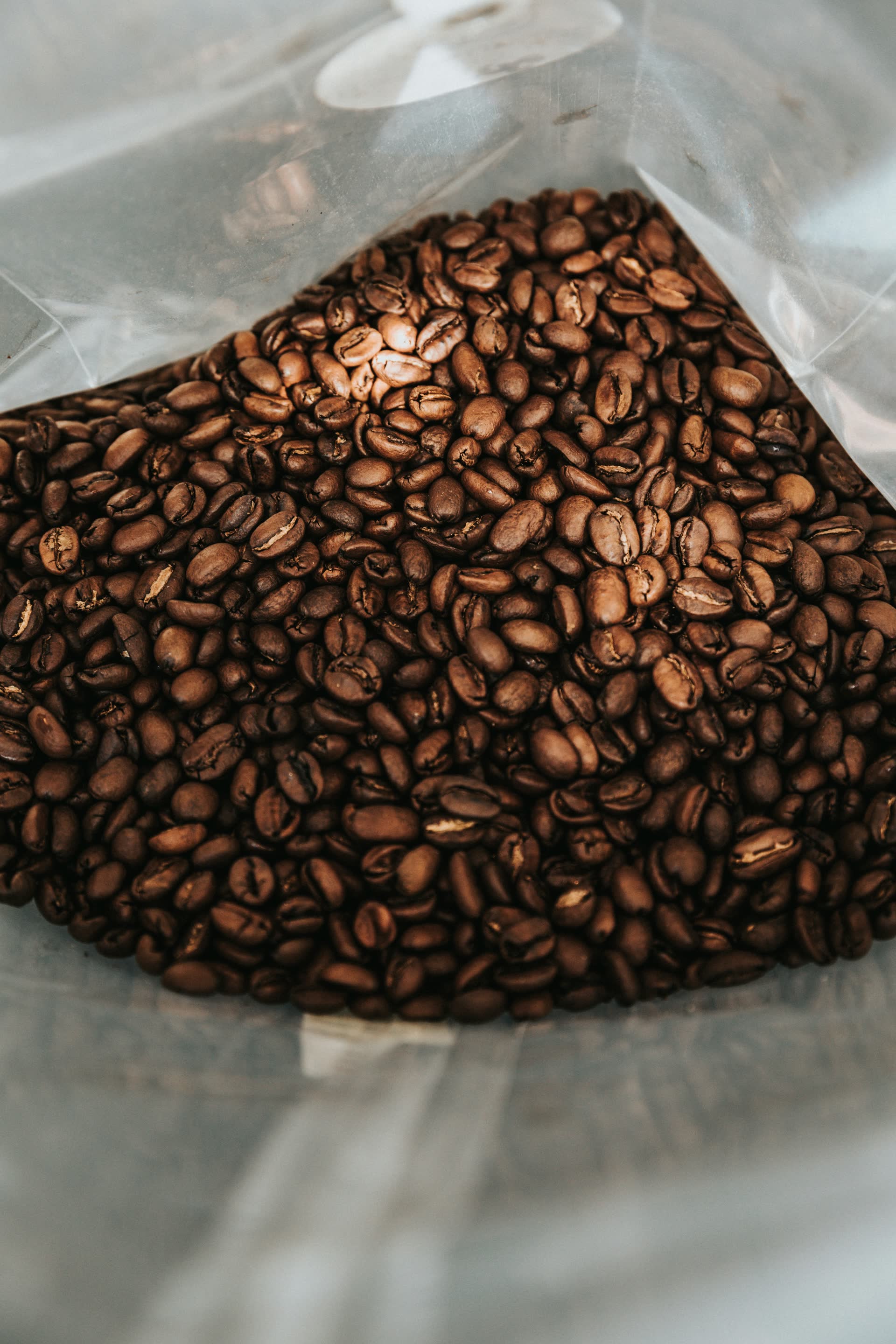 What We Roast For